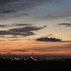 Meet your Posher, Ella